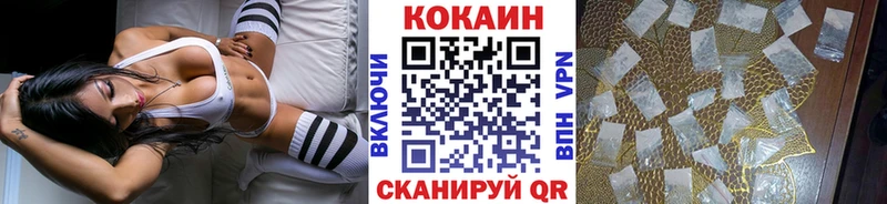 Cocaine Fish Scale  Купить закладки  Саров 